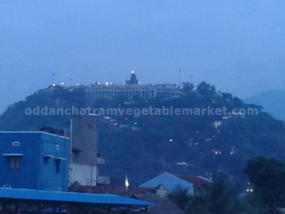 Palani Murugan temple in Night time