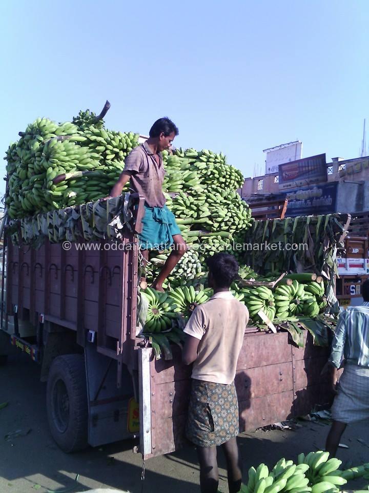 Oddanchatram Vegetable Market Photos (4)