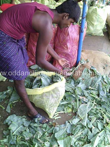 Oddanchatram Vegetable Market Photos (5)