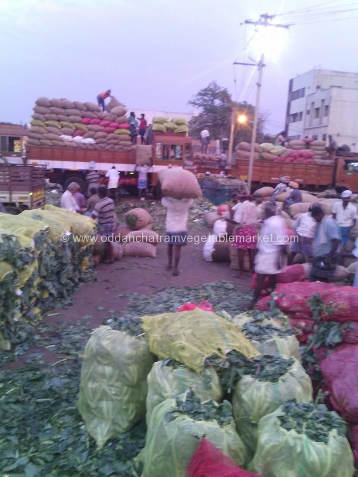 Oddanchatram Vegetable Market Photos (6)