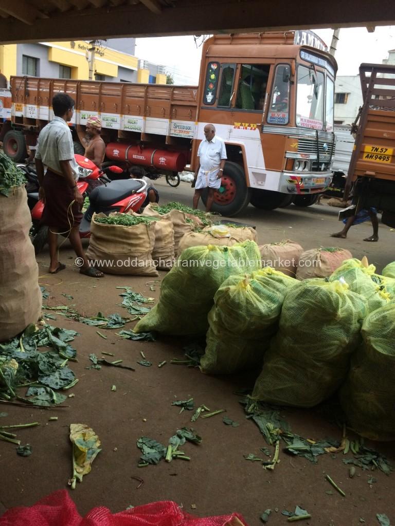 MV-bharathi vegetables-Oddanchatram-Market (5)