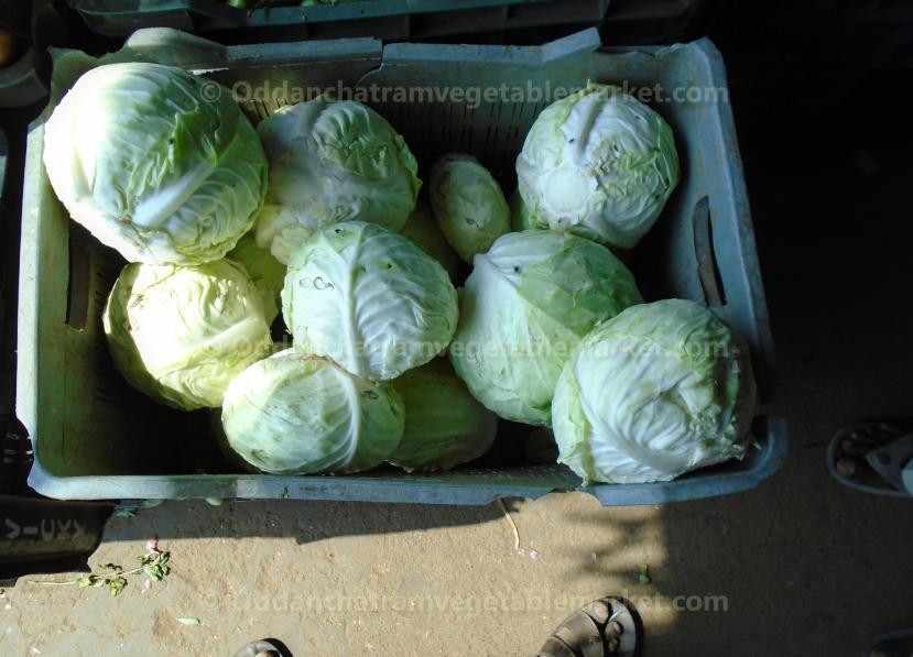 oddanchatram vegetable market Pictures