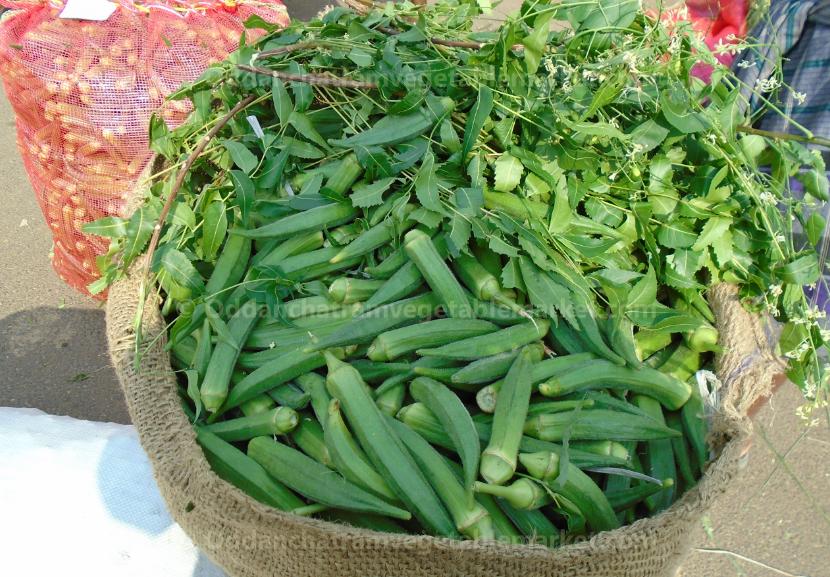 oddanchatram vegetable market Pictures