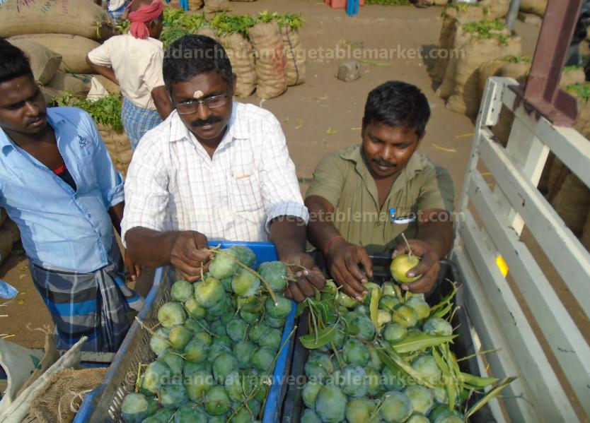 oddanchatram vegetable market Pictures