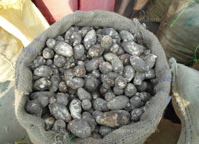 oddanchatram vegetable market Pictures