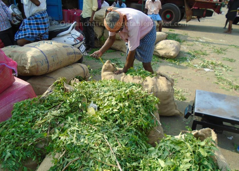 oddanchatram vegetable market Pictures