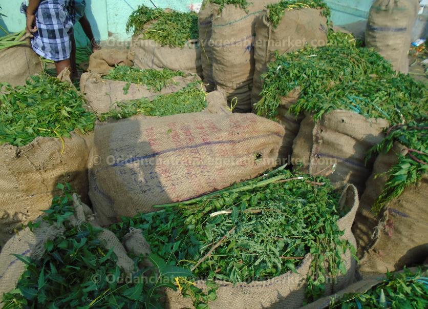 oddanchatram vegetable market Pictures